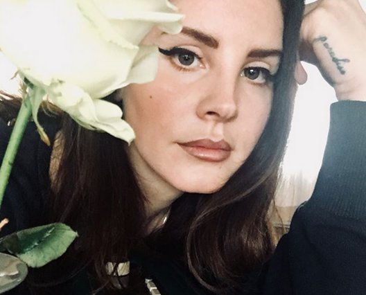 Θρίλερ με τη Lana Del Rey: Δέχτηκε ιπτάμενη  επίθεση  από θαυμαστή της [βίντεο]
