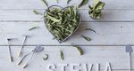 Οι ιδιότητες της stevia, του γλυκαντικού που κάνει τη διατροφή μας καλύτερη και πιο υγιεινή
