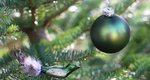 Rainbow Christmas Tree: Το πιο ενδιαφέρον trend των φετινών Χριστουγέννων 
