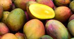 Μάνγκο: Ο βασιλιάς των φρούτων με τις αντικαρκινικές ιδιότητες
