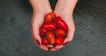 Λυκοπένιο: Το θαυματουργό συστατικό της ντομάτας που είναι ασπίδα για την υγεία σου