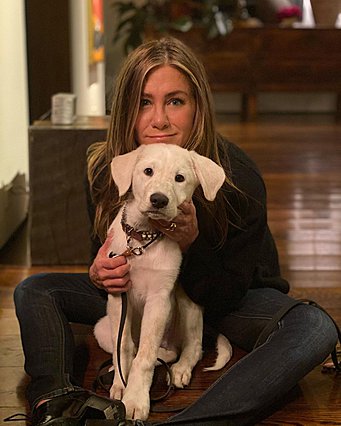 Jennifer Aniston: Η ευχή της για το τέλος της χρονιάς αποτελεί έμπνευση και συνυπογράφουμε