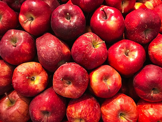 Μήλο, το χαρακτηριστικό φρούτο του φθινοπώρου είναι πολύ πιο χρήσιμο από ότι νομίζετε