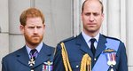 Πρίγκιπας Harry: Όταν χάρισε στον William το δαχτυλίδι της μαμάς τους με τον όρο να το προσφέρει στην Kate