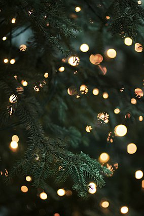 Πώς να βάλεις φωτάκια στο χριστουγεννιάτικο δέντρο σαν επαγγελματίας 