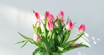 Οι καλύτερες συμβουλές για να αντέξουν περισσότερο τα ανοιξιάτικα λουλούδια σου 