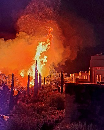 Μίλτος Καμπουρίδης: Η συγκλονιστική ανάρτηση για τη φωτιά στο Amanzoe και το  Ευχαριστώ 