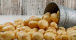 Οι 4 λόγοι για τους οποίους η πατάτα είναι ωφέλιμη και υγιεινή για τη διατροφή σου